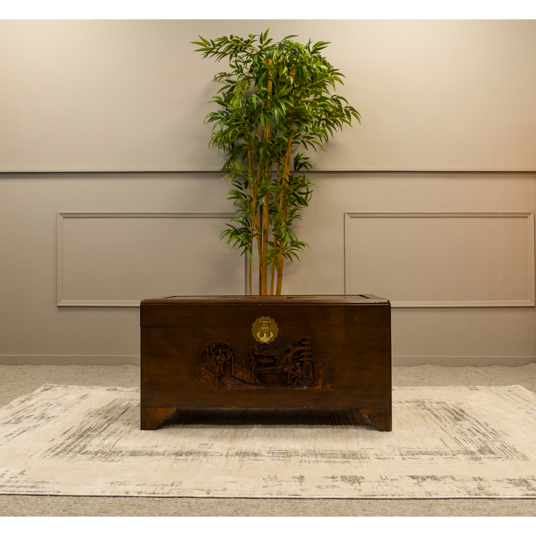 Oriental Camphon Wood Trunk