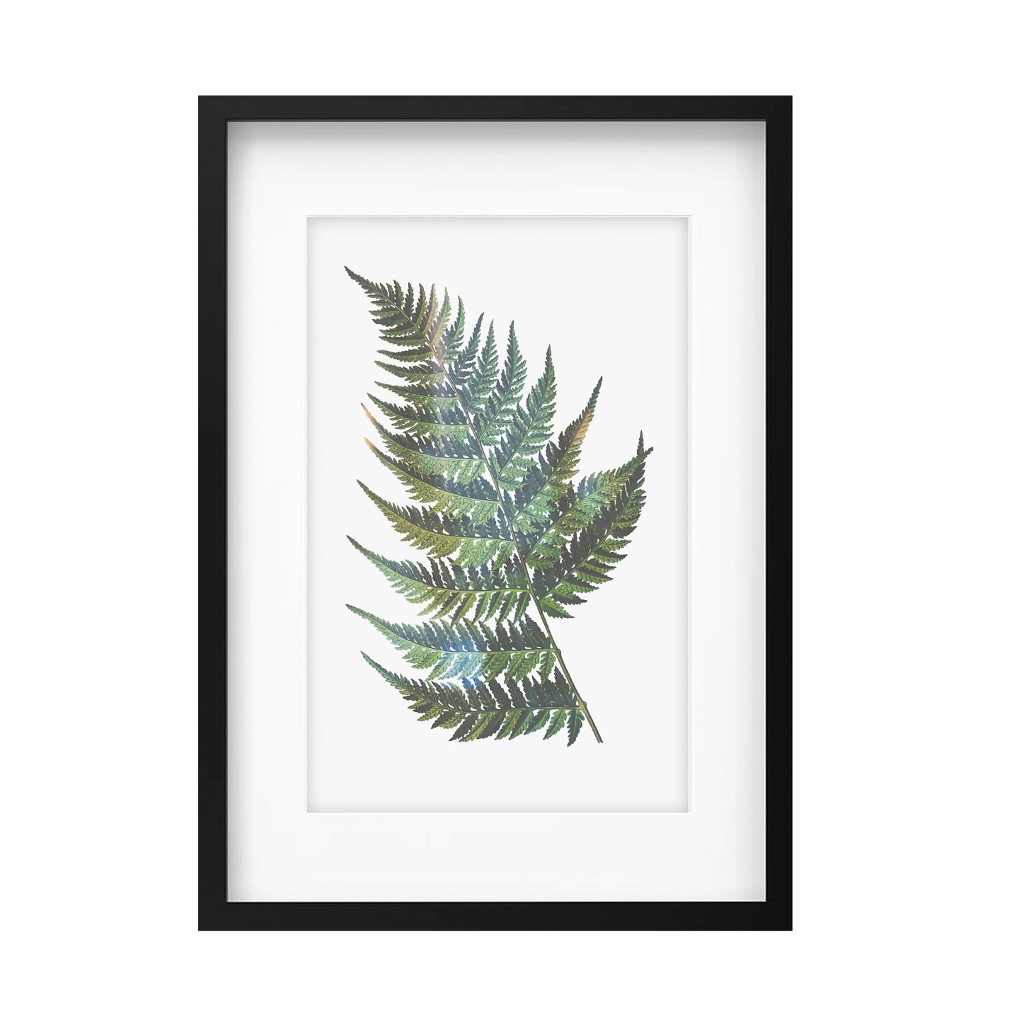 Set of 4 Botanical Art