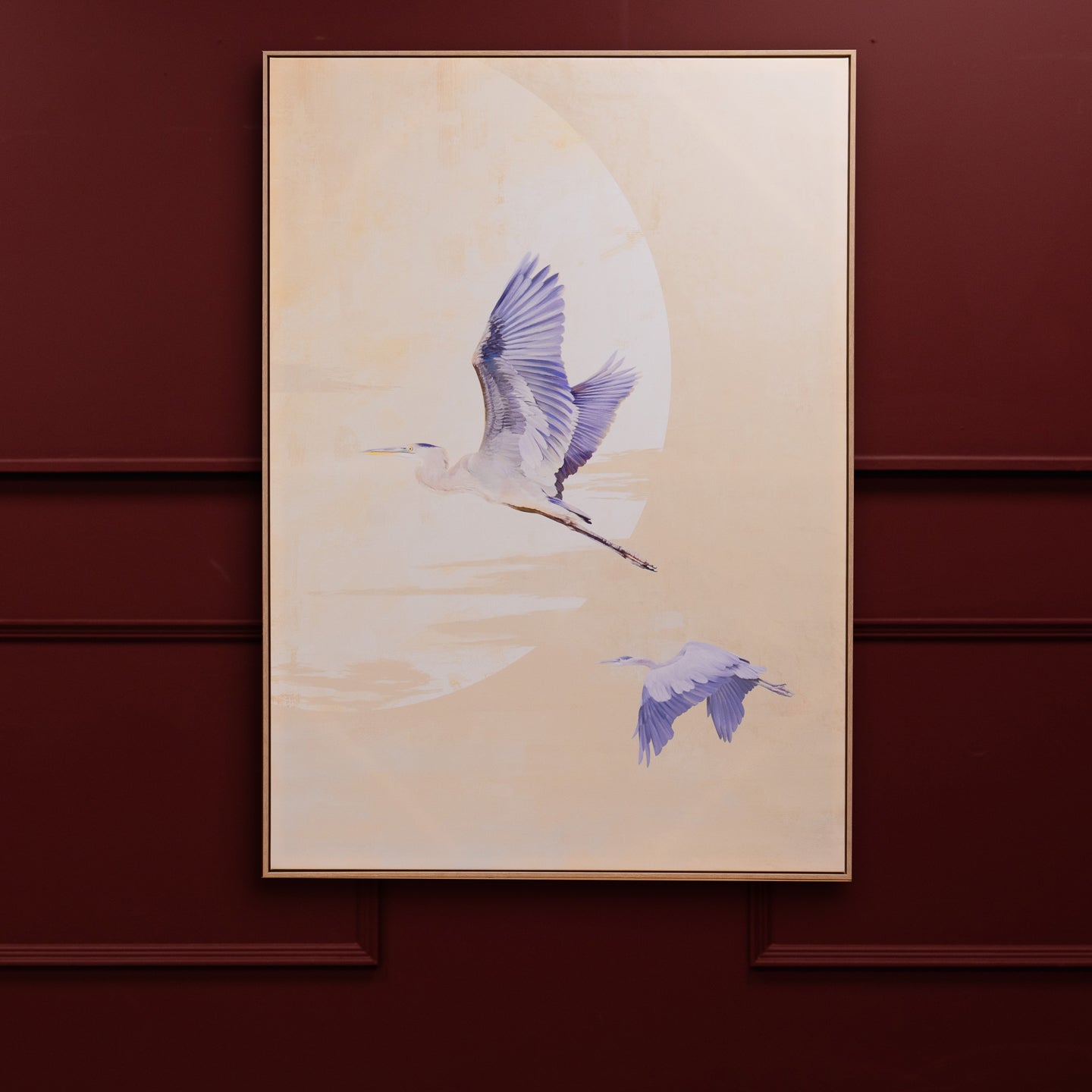 Birds in Flight Picture