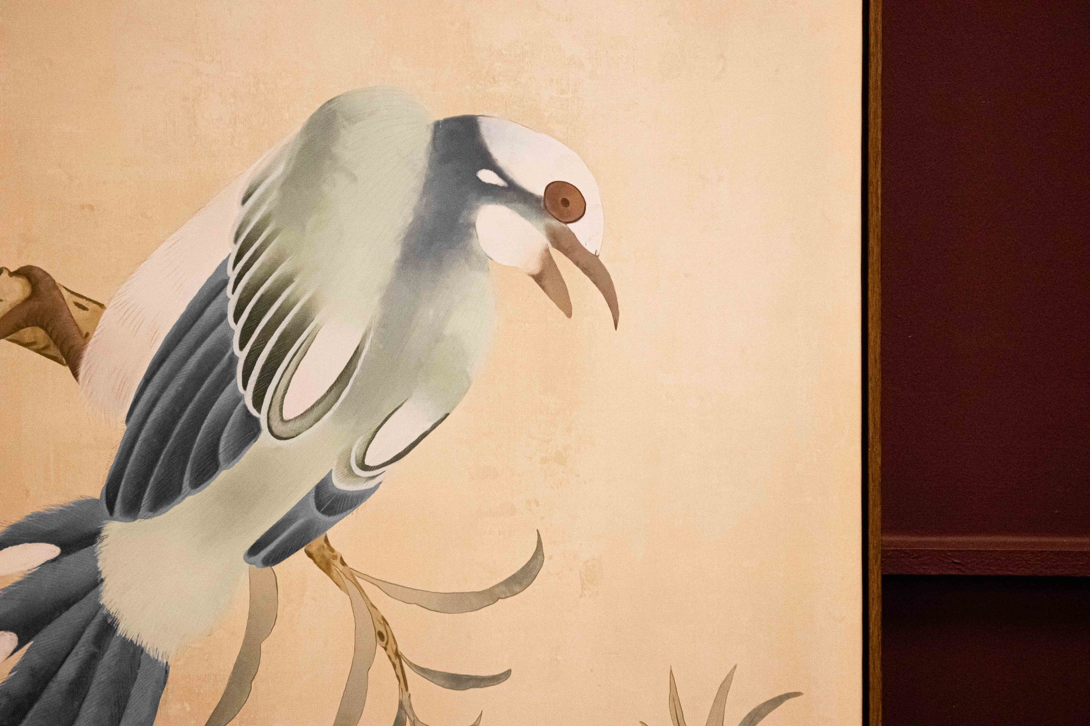 Tropical Bird Picture