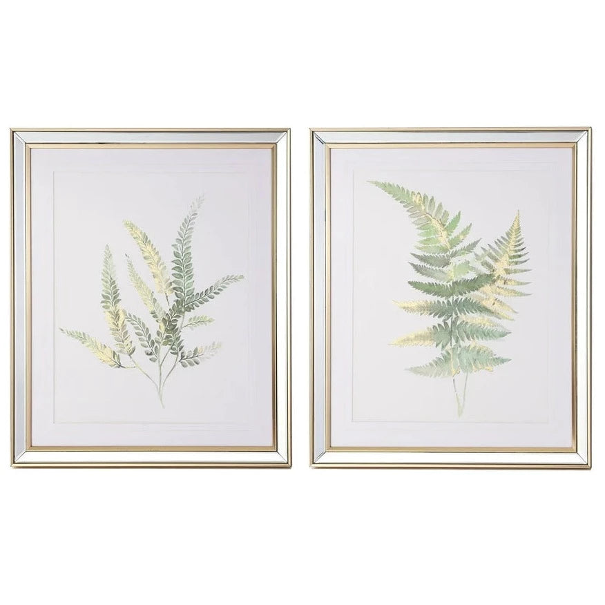 Ferns Set of 2