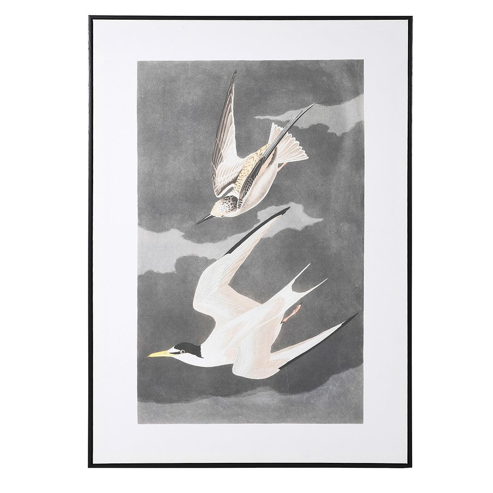 Avian Elegance Wall Art