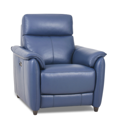 Michelangelo Leather Fixed Armchair